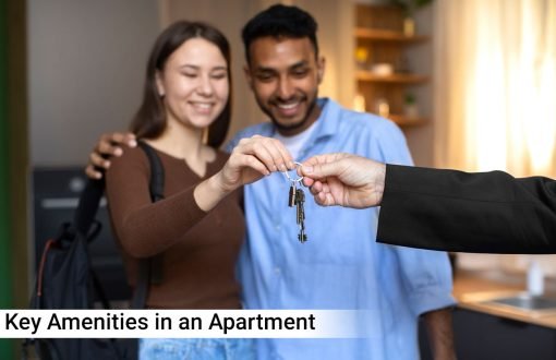 Key Amenities in an Apartment