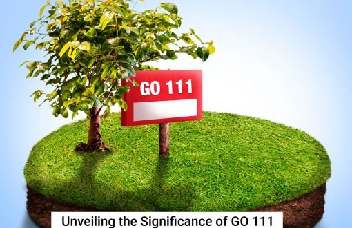significance of GO 111 and understand its purpose and impact